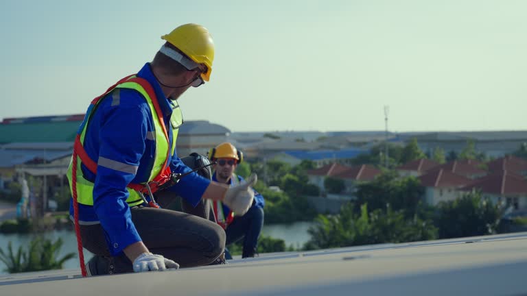 Best Green or Eco-Friendly Roofing Solutions  in Elgin, IL